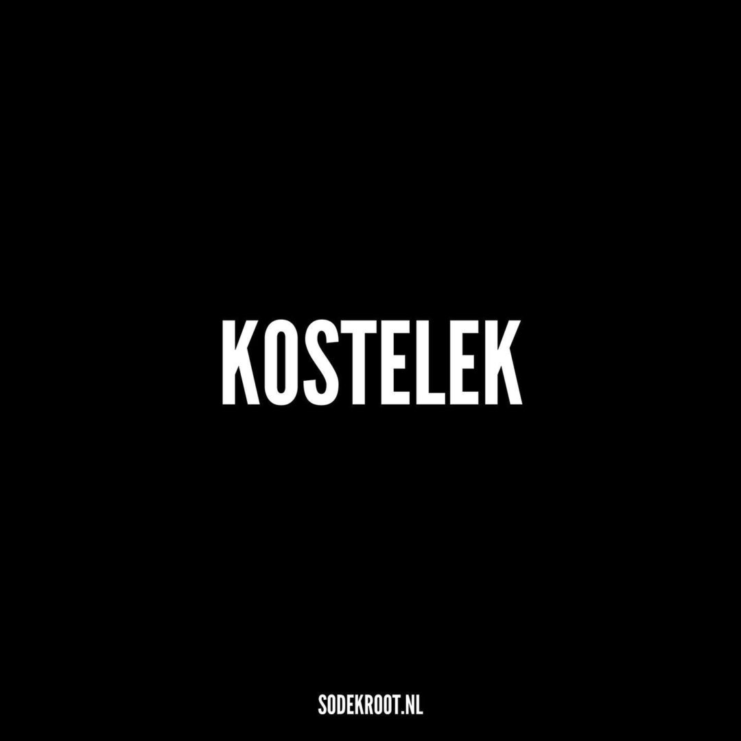 Kostelek