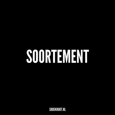 Soortement