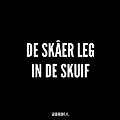 de skaer leg in de skuif