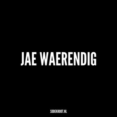 jae waerendig