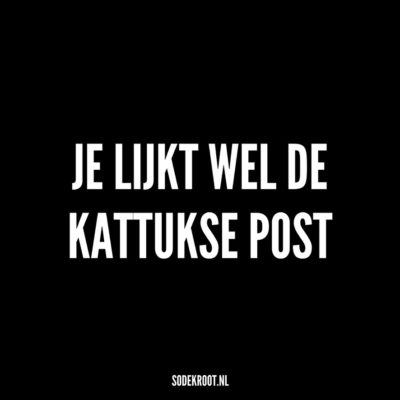 je lijkt wel de kattukse post
