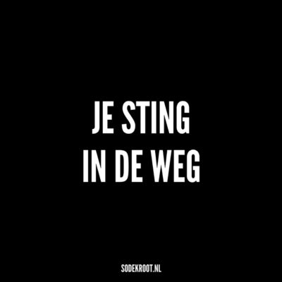 je sting in de weg