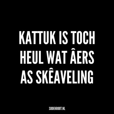 kattuk is toch heul wat ars as skeaveling