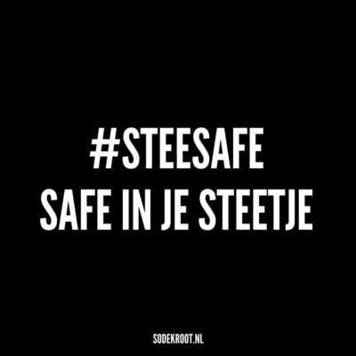 steesafe safe in je steetje