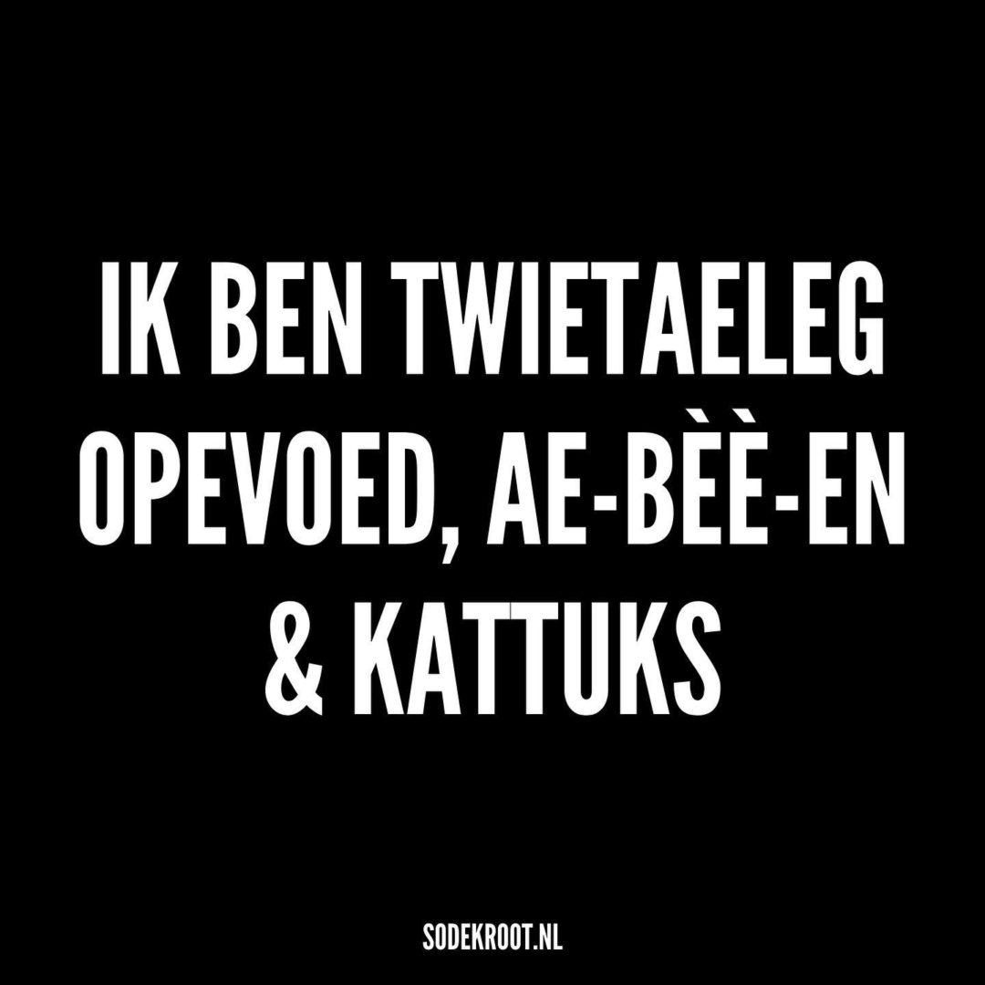 Ik ben twietaeleg opevoed, Aé-Bee-En & Kattuks