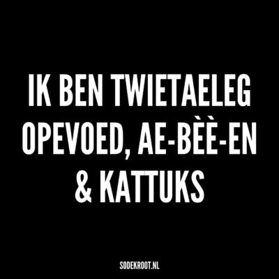Ik ben twietaeleg opevoed, Aé-Bee-En & Kattuks